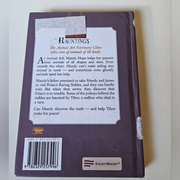 Stallion in the Storm Why did he come back? Ben M. Baglio Kids Toys Book - Picture 5 of 8